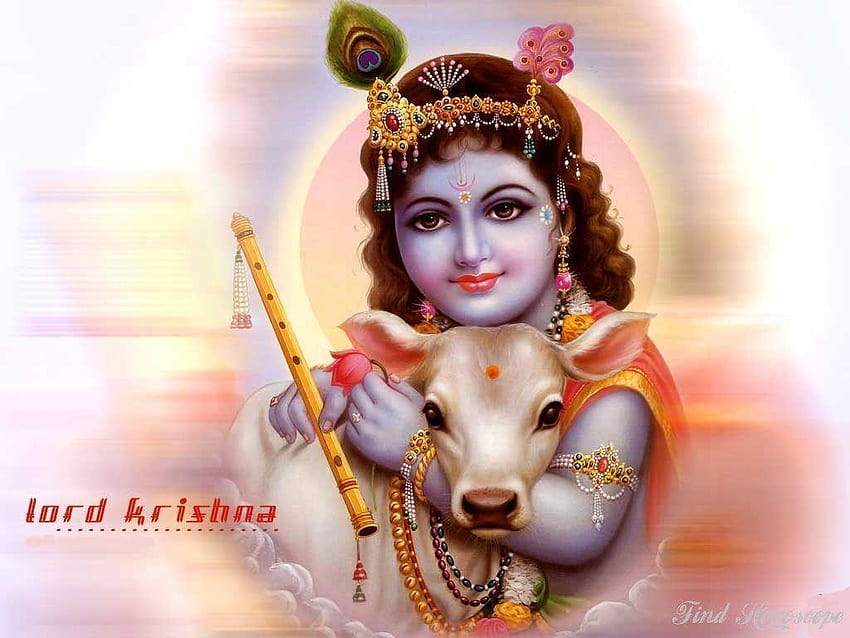 Lord Krishna HD wallpaper | Pxfuel