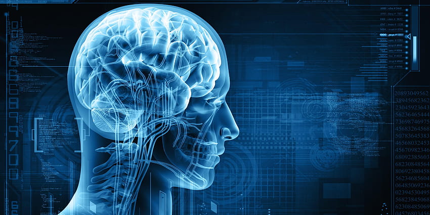 Kalçada En İyi 5 Nöroloji, beyin cerrahı HD duvar kağıdı