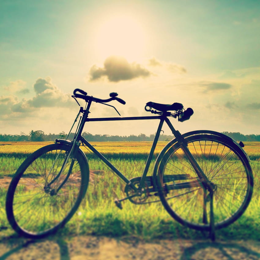Belakangan ini aku jadi suka naik sepeda onthel ke pelosok, background sepeda HD phone wallpaper