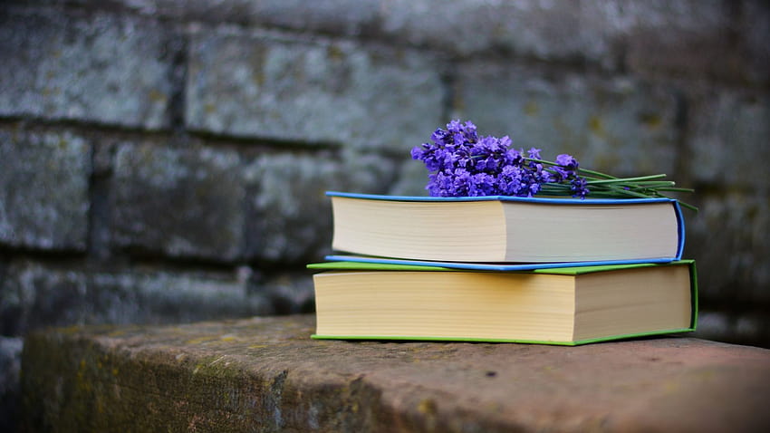 Книги, четене, лилави цветя, , фон, 4frcj5, пролетно четене HD тапет