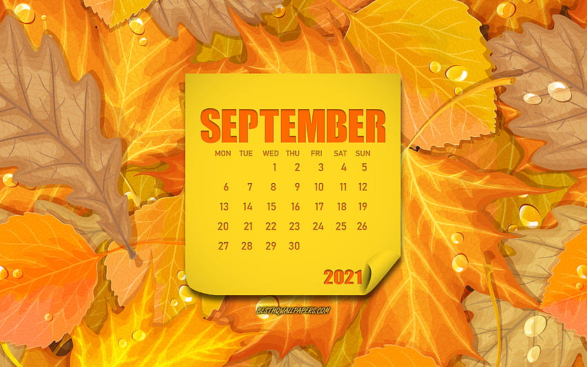 2021 September Calendar, autumn backgrounds with leaves, September, autumn leaves background, September 2021 Calendar, 2021 concepts with resolution 3840x2400. High Quality, autumn 2021 HD wallpaper