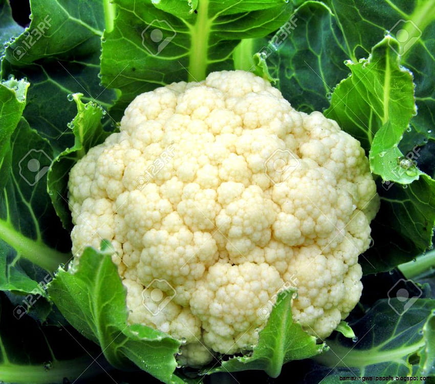 Cauliflower Vegetable HD wallpaper