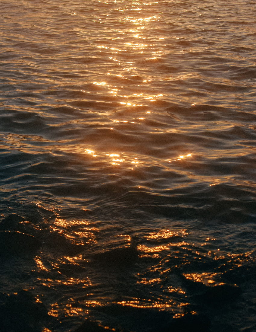 ゴールデンアワーの穏やかな海 – ライト、ノスタルジア ウルトラ HD電話の壁紙
