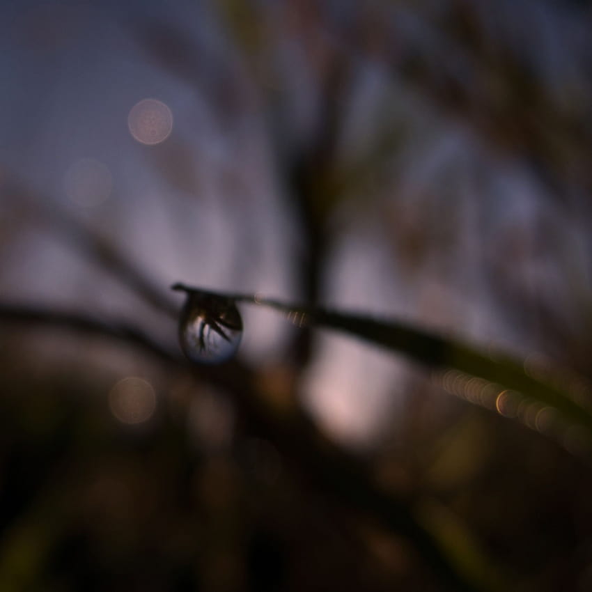 Blurry water drop at the dawn iPad, ecstatic HD phone wallpaper