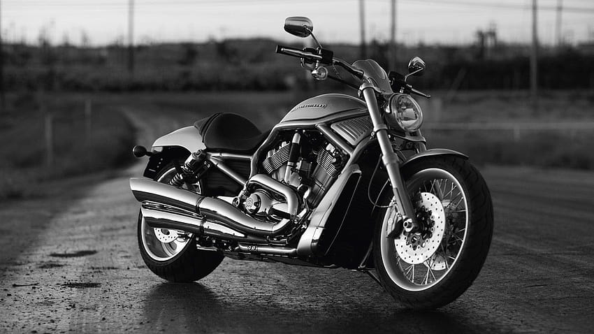 Черно-бял класически мотоциклет Harley Davidson, класически harley davidson HD тапет