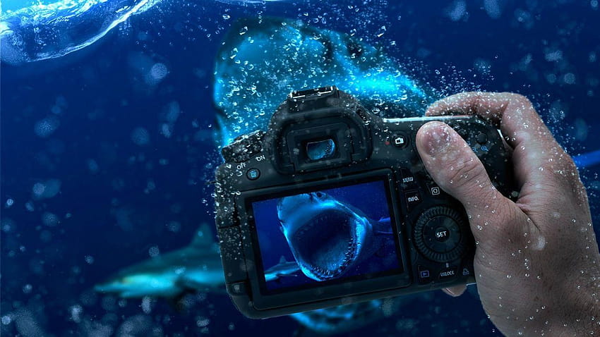STYLE zawód grafika podwodna Tapeta HD