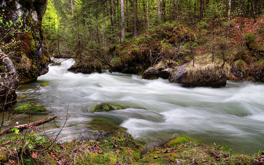 bosque, río, flujo, naturaleza, primavera ultra ancha fondo de pantalla