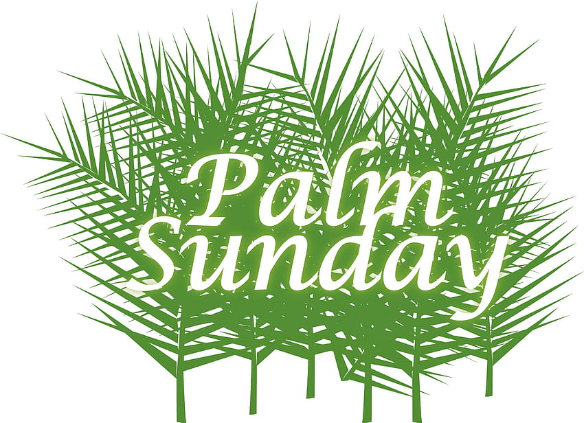 Niedziela Palmowa Z Zielonymi Liśćmi Tapeta HD