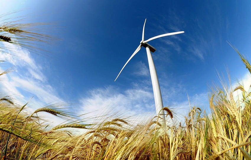 field, power, energy, wind, wind turbine for, wind turbines HD wallpaper