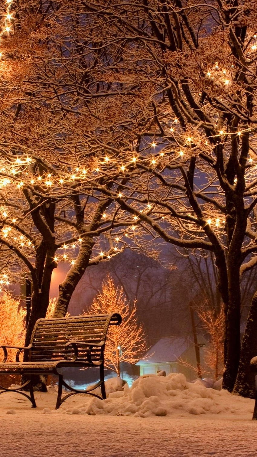 50 Gorgeous Winter Wallpaper Downloads For iPhone FREE