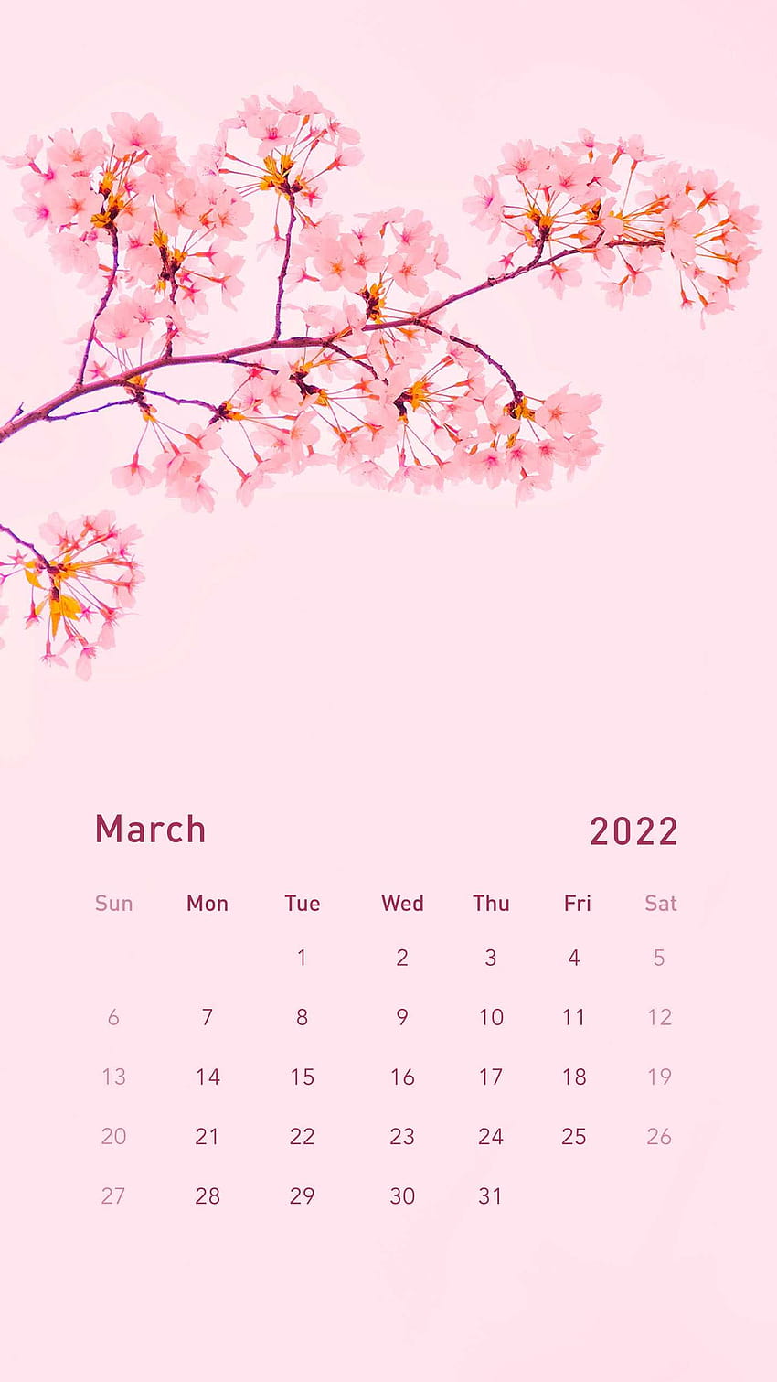 Page 20  custom minimalist templates March 2022 Calendar HD wallpaper   Pxfuel