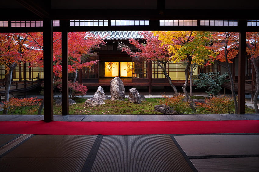 Japão, árvores, paisagens urbanas, quarto, Kyoto, Ásia, templo, outono, outono templo papel de parede HD