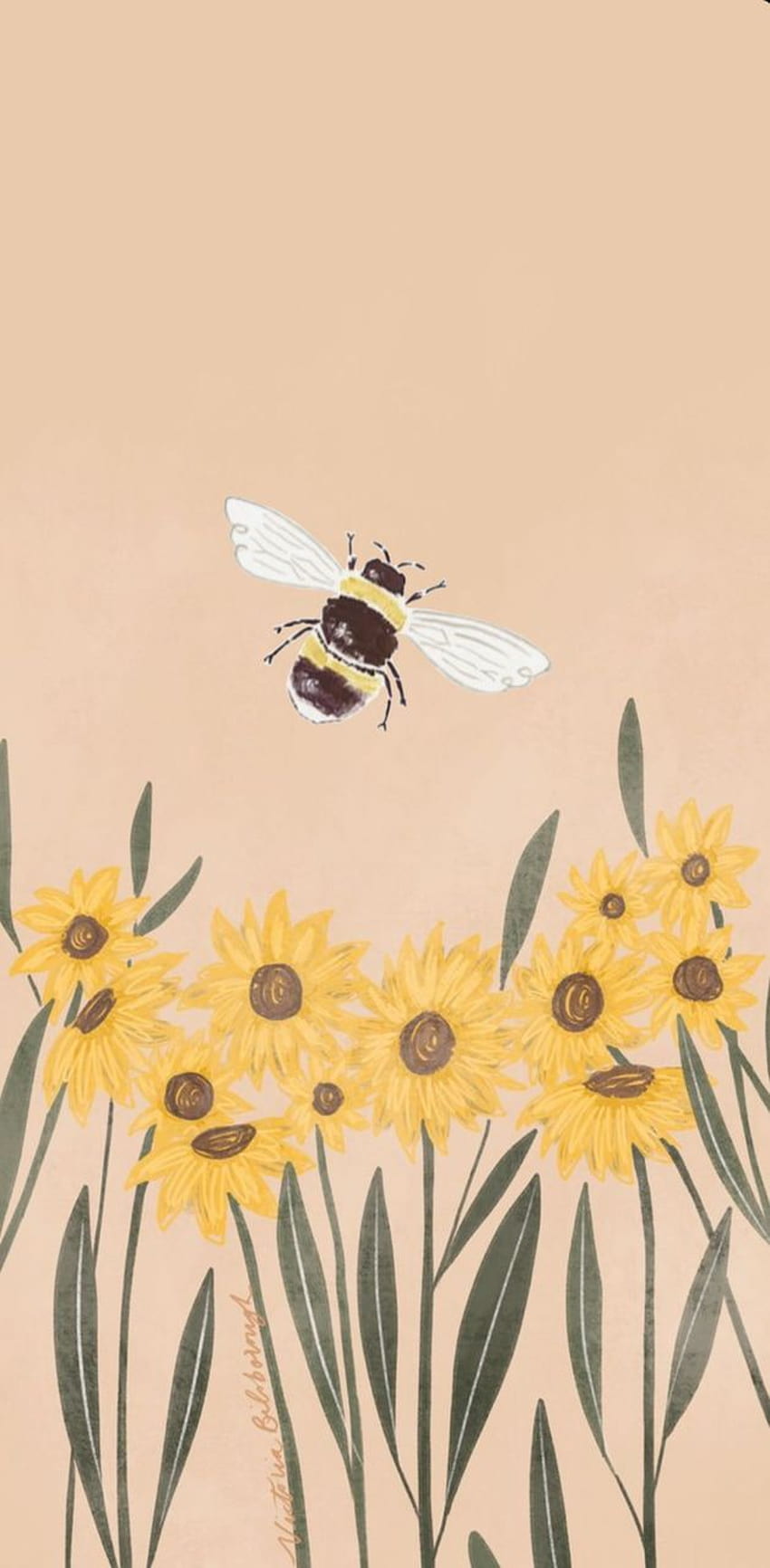 25 about bee aesthetic HD phone wallpaper  Pxfuel