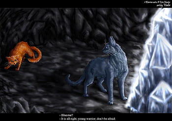 Warrior Cats Wallpapers Bluestar - Wallpaper Cave