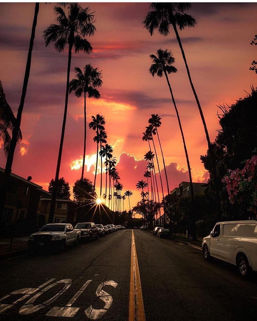 Sky aesthetic, Sunset ...pinterest, sunset boulevard HD phone wallpaper
