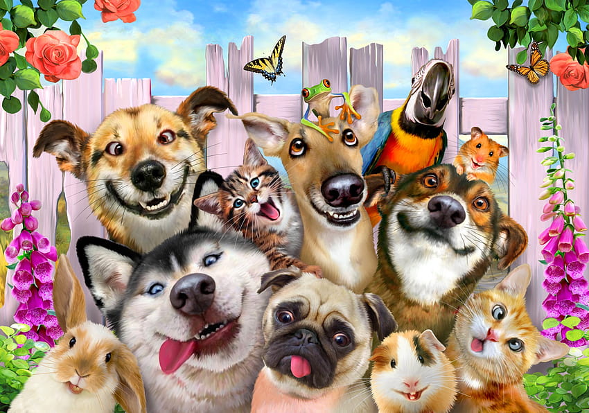 Selfie per animali domestici murale, collage di cani Sfondo HD