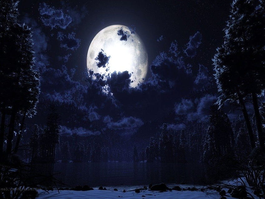 magic winter moon HD wallpaper