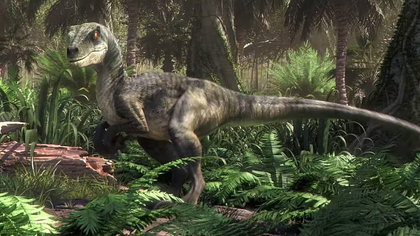 First Teaser For 'Jurassic World: Camp Cretaceous' Released, jurassic world camp cretaceous HD wallpaper