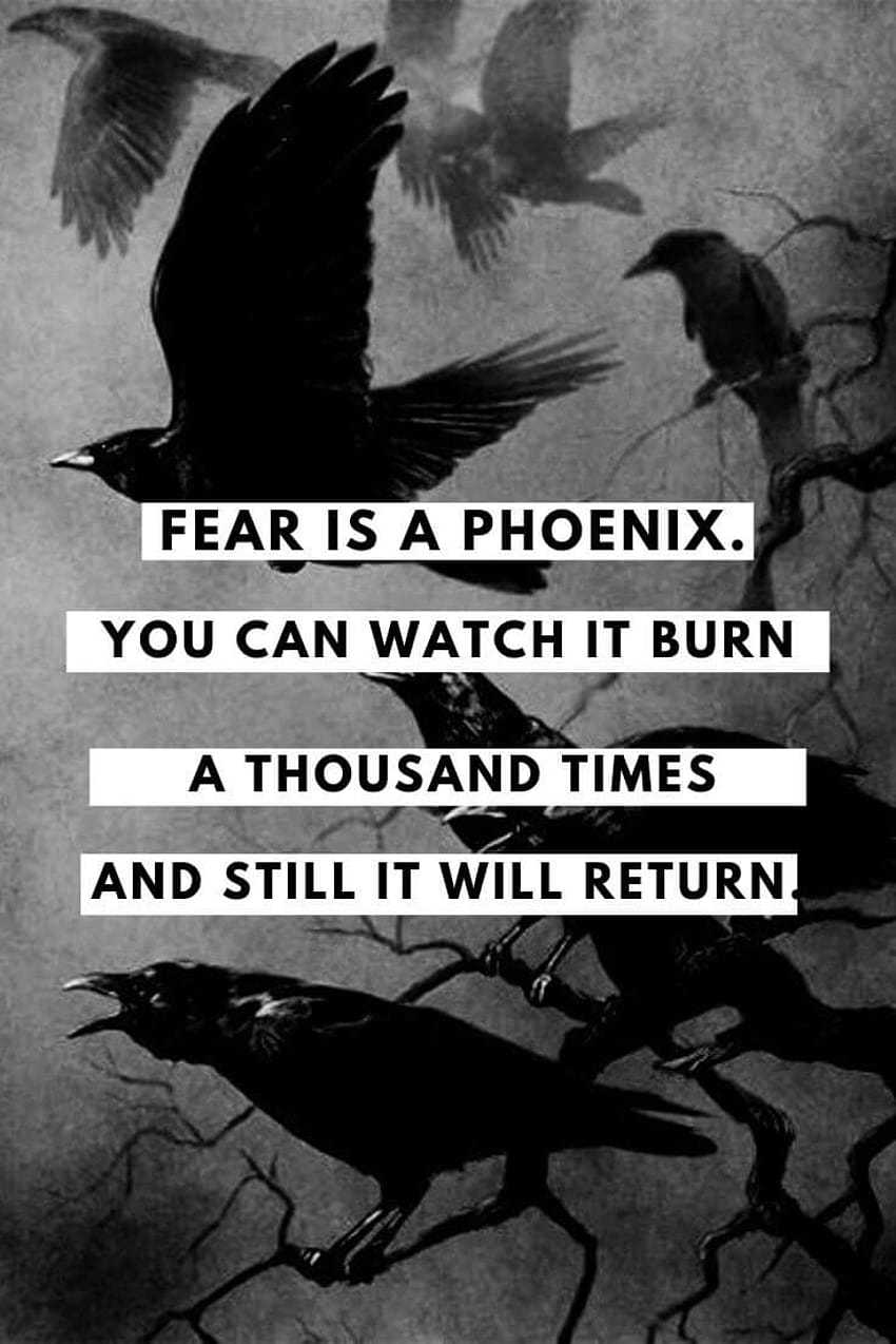 MOST POWERFUL Six of Crows Quotes by All 6 Main Characters HD phone wallpaper