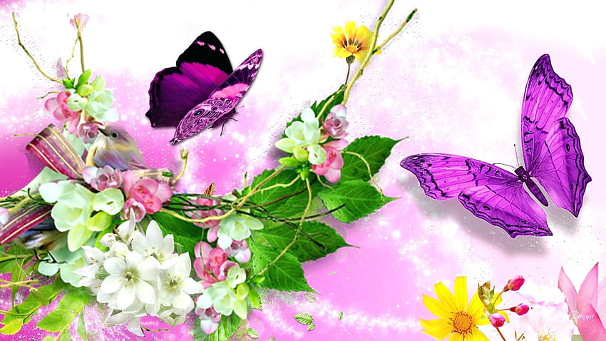 4 Birds and Butterflies, bird blossom butterfly HD wallpaper