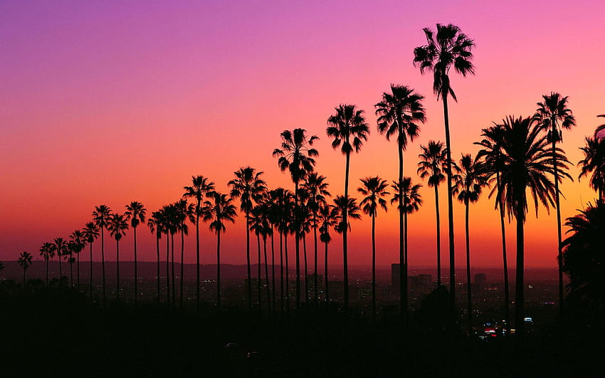 Coucher du soleil Los Angeles, Californie Fond d'écran HD