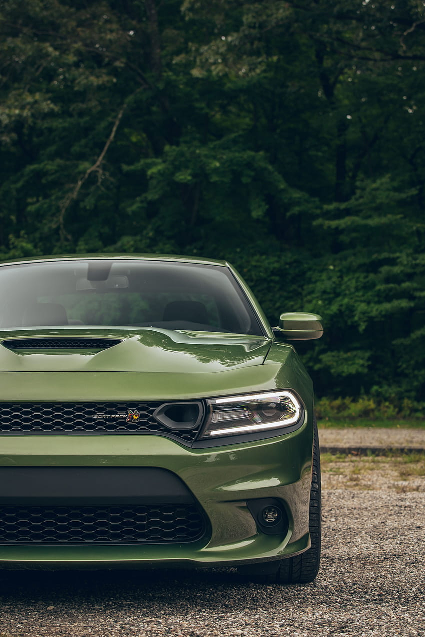 2019 Dodge Charger R/T Scat Pack vs. 2019 Kia Stinger GT: Which Sports  Sedan Packs a Bigger Punch?, dodge charger scat pack HD phone wallpaper |  Pxfuel