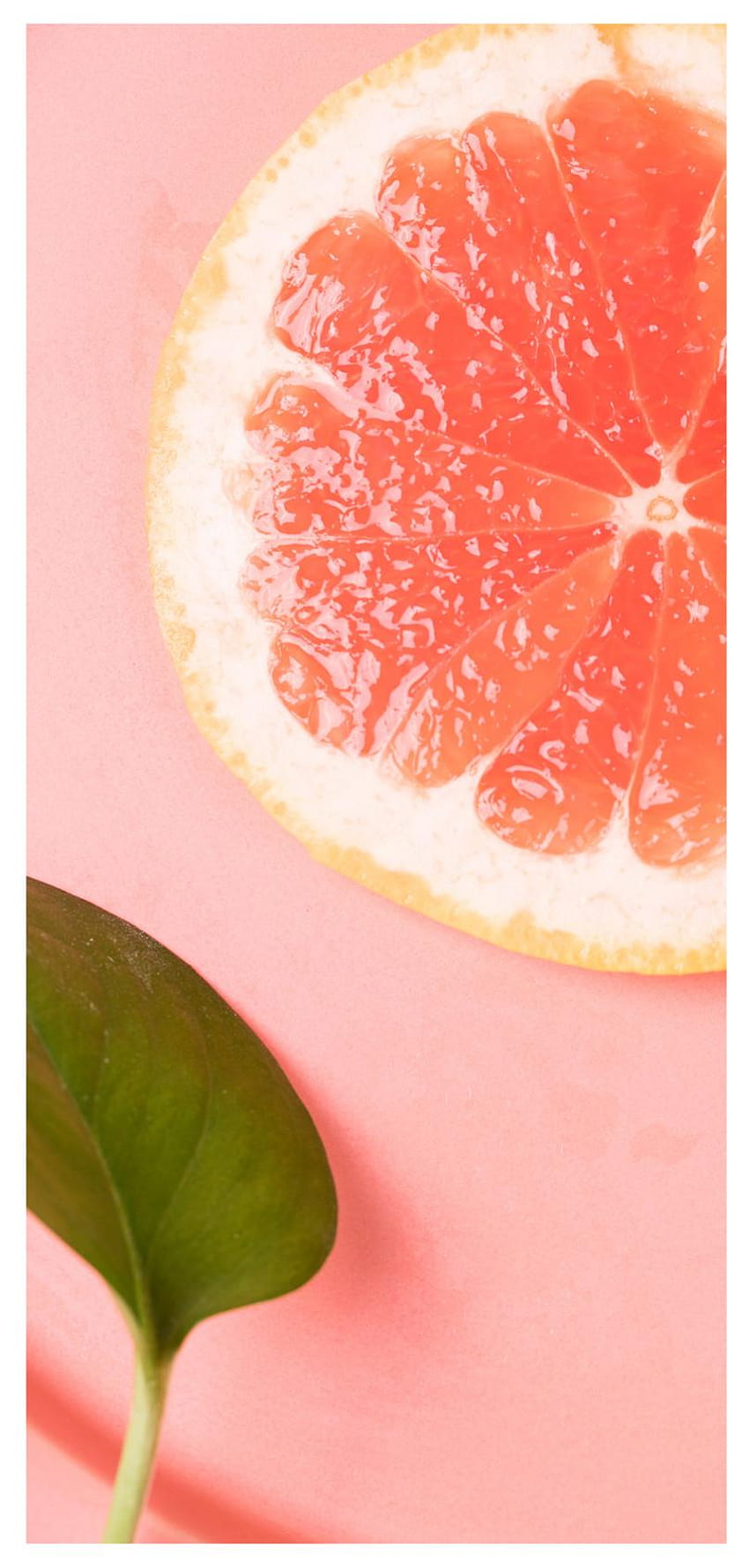 Fruit grapefruit mobile phone backgrounds _ HD phone wallpaper