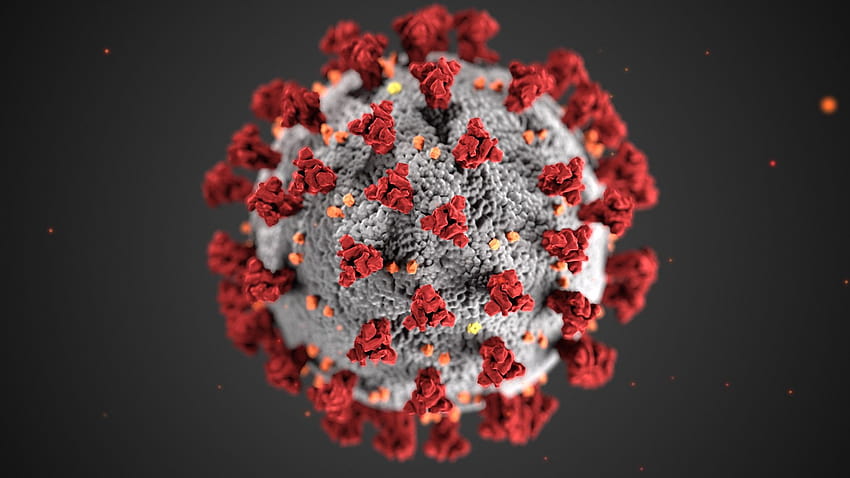 'ช็อตความงาม' ที่เป็นสาธารณสมบัติของ Coronavirus ตอนนี้คุณเห็นได้ทุกที่โคโรนาห่วย วอลล์เปเปอร์ HD