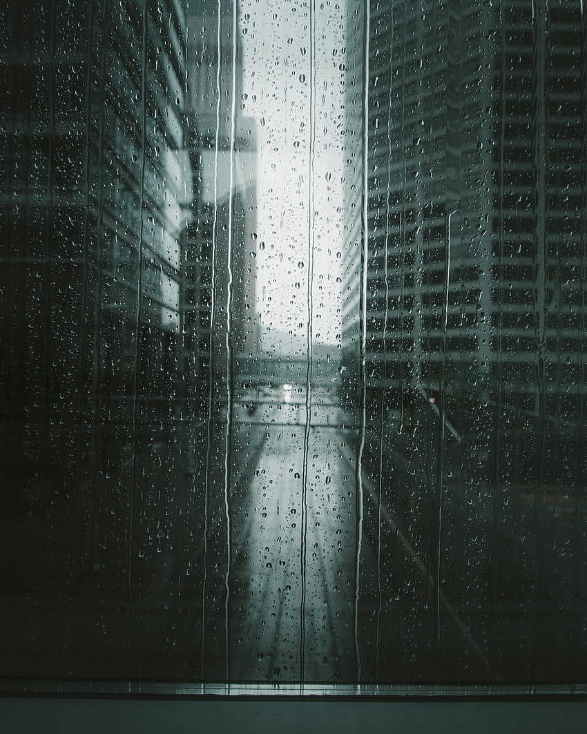 75 Rainy Window, drip rain HD phone wallpaper