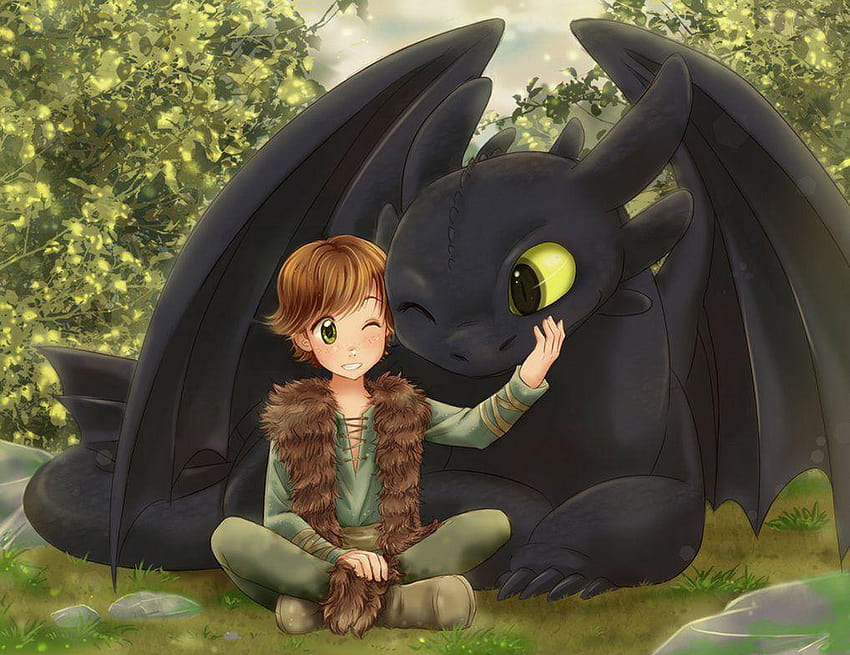 1018x784px Hiccup and Toothless HD wallpaper