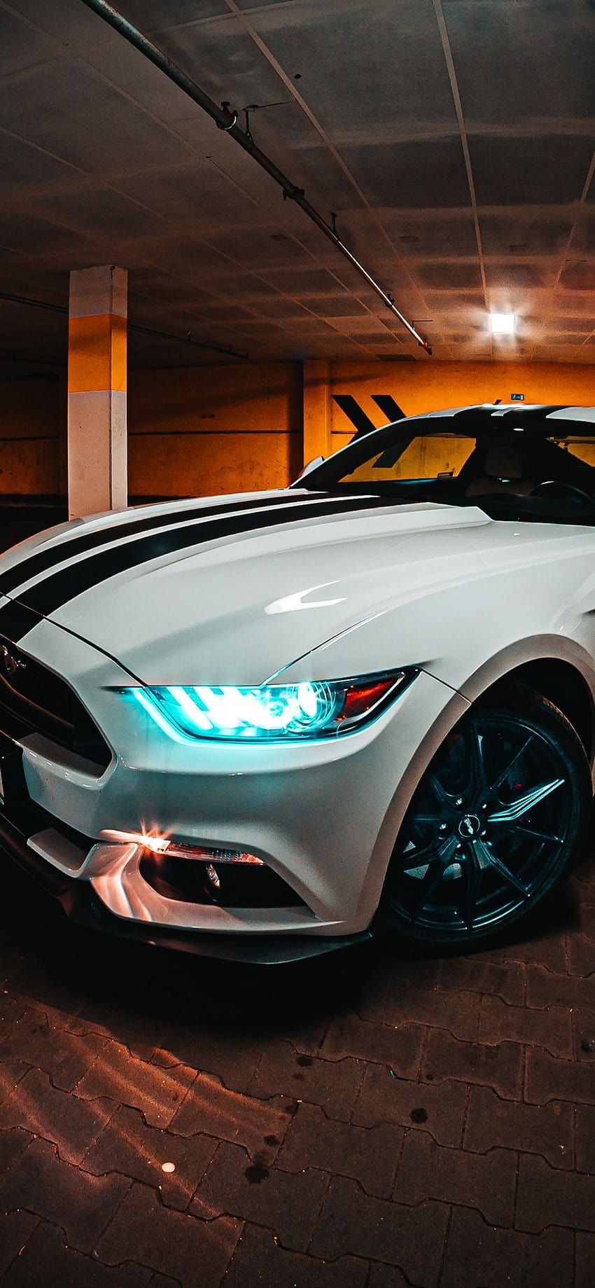 Ford Mustang Night Cellar Cars Ford Mustang Iphone Hd Phone Wallpaper Pxfuel