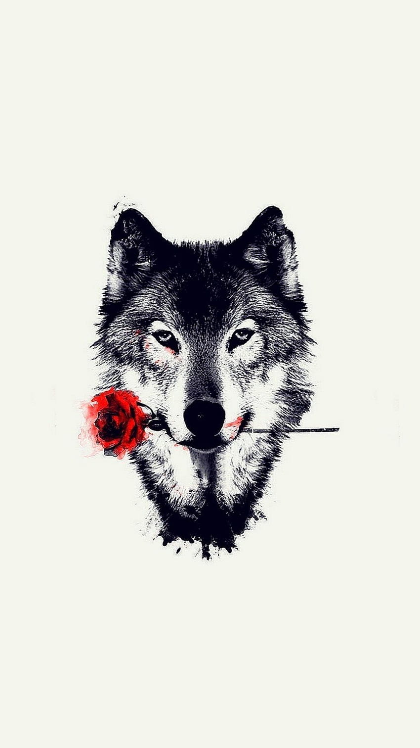 Wolf Rose, roes HD phone wallpaper