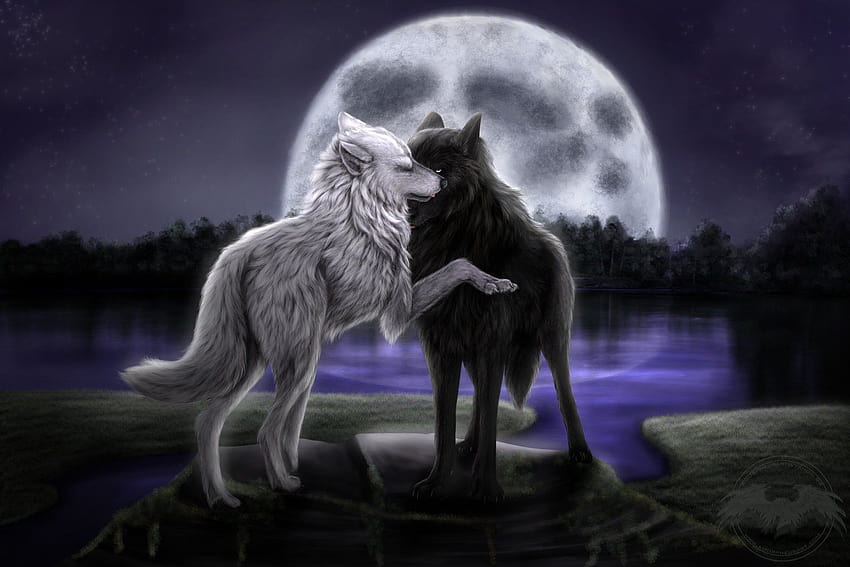 Jackie Llamazales on Anime wolf, wolf love HD wallpaper