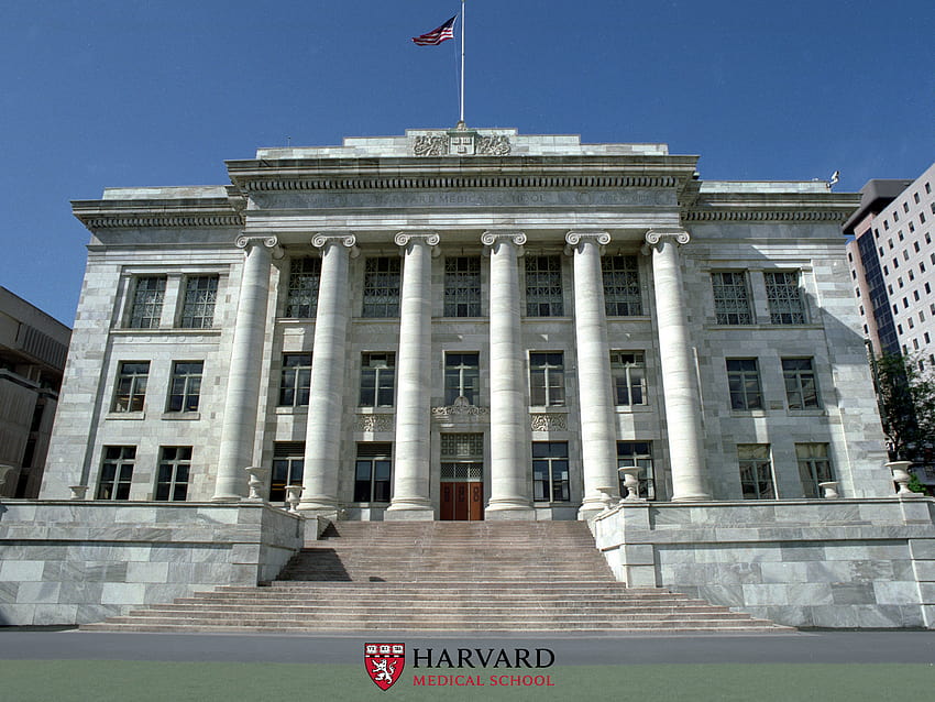 Harvard university HD wallpaper
