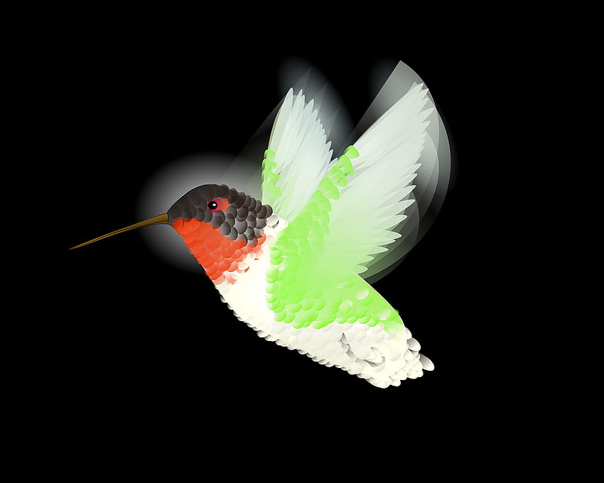 de colibrí, pájaro, zumbido, vuelo, aleteo, aleteo de alas fondo de pantalla