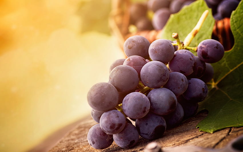 grapes ,grape,seedless fruit,grapevine family,fruit,natural foods HD wallpaper