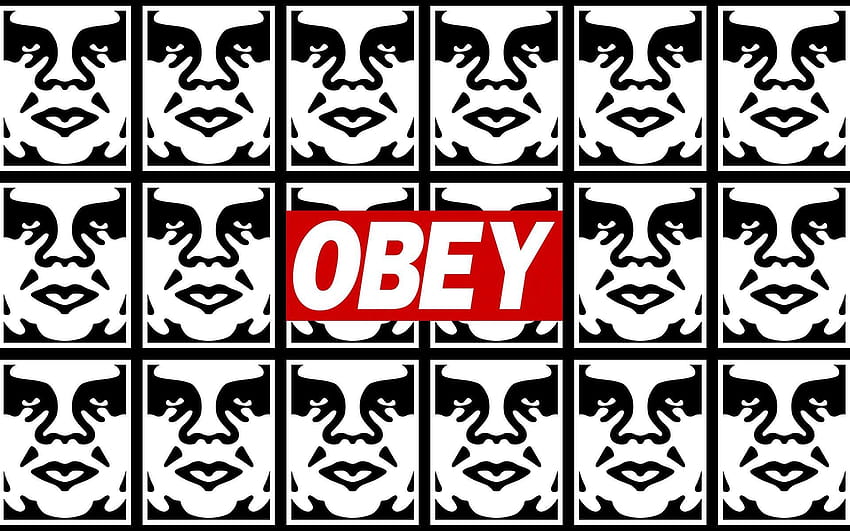 obey logo HD wallpaper