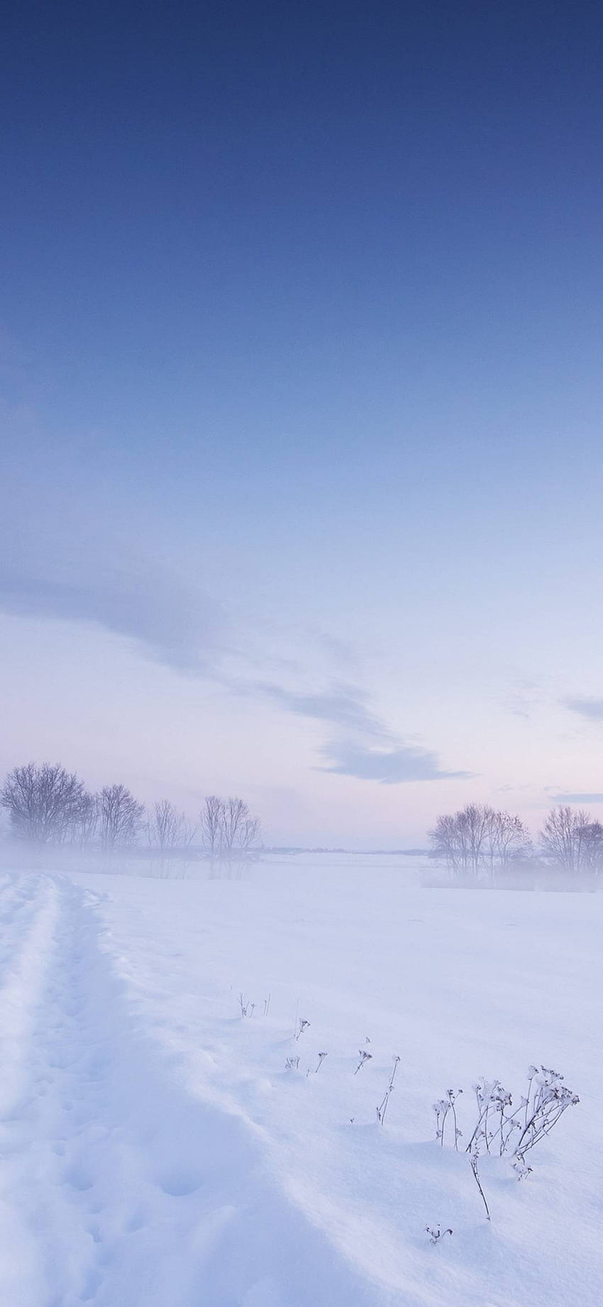 Snow Winter Field, winter 1080x2340 HD phone wallpaper