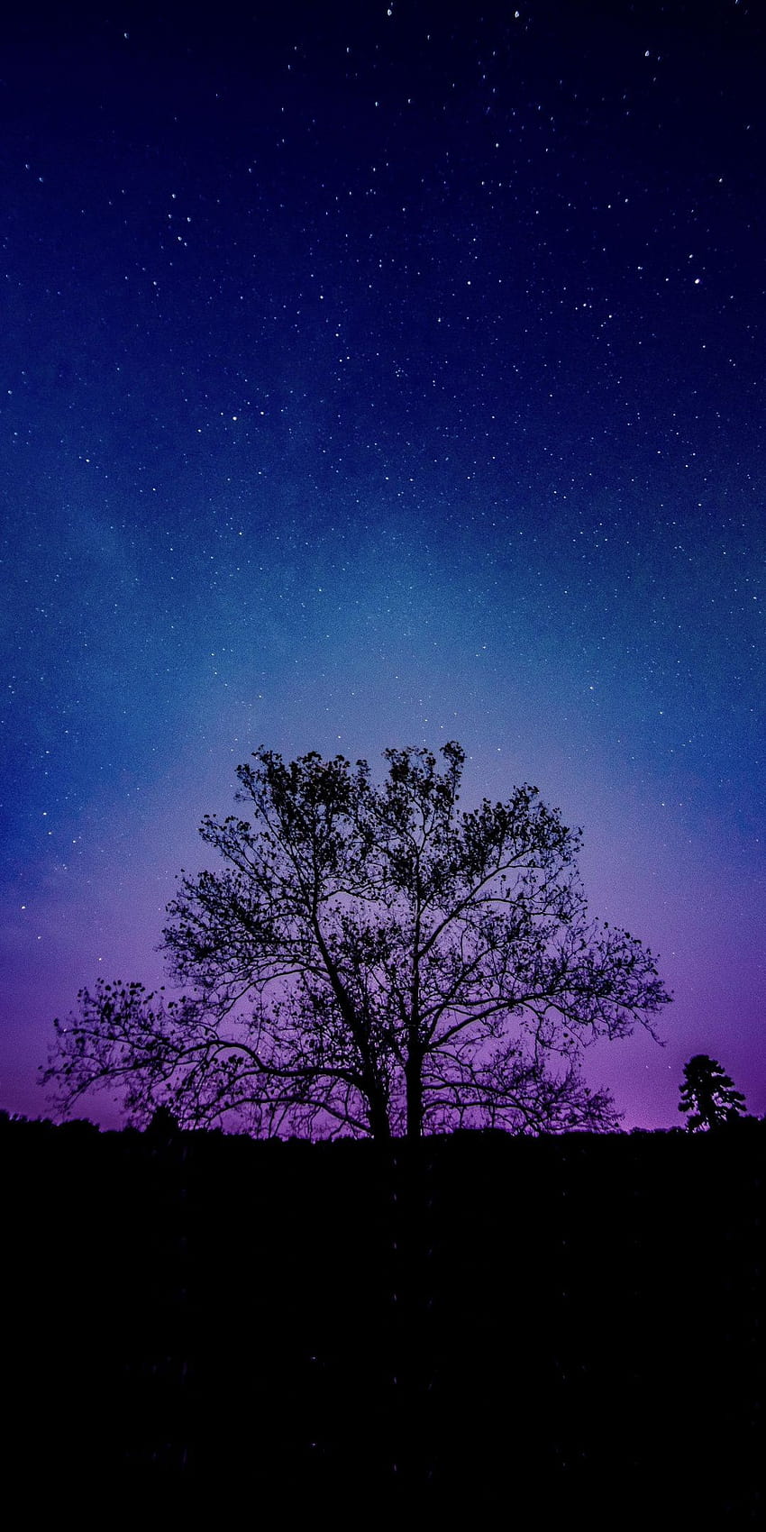 Baum, Galaxie, Himmel, Silhouette, 1080x2160, lila ästhetischer Nachthimmel HD-Handy-Hintergrundbild