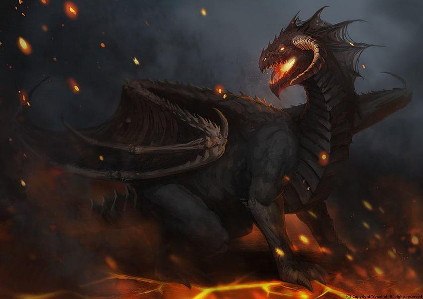 Racial Wars: Black Dragon by telthona, dark dragon HD wallpaper | Pxfuel