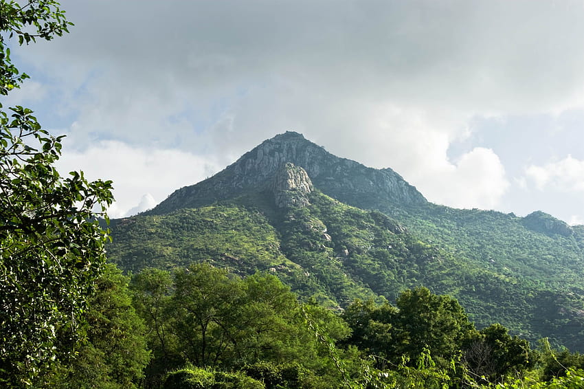 Galería Arunachala Hill – Sri Ramana Maharshi fondo de pantalla