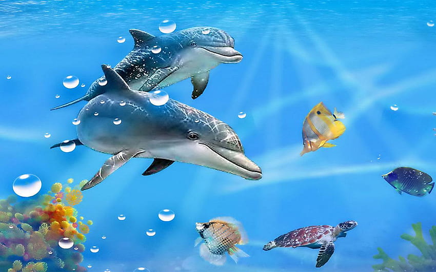 ของ Dolphin 3d วอลล์เปเปอร์ HD