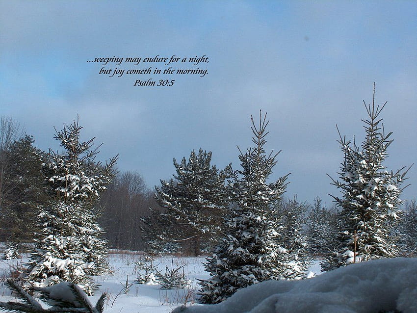 Winter Backgrounds Scenic Winter, winter scriptures HD wallpaper