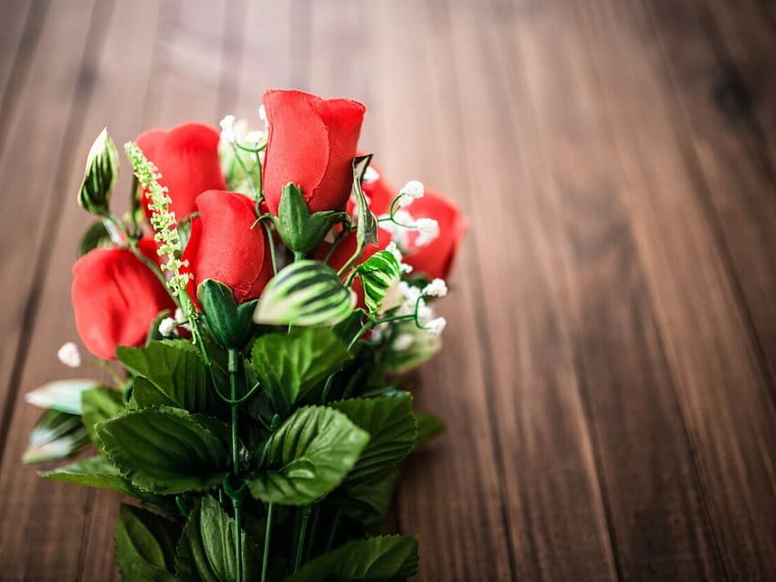 Happy Rose Day 2020: , Quotes ...timesofindia.indiatimes, rose propose HD wallpaper