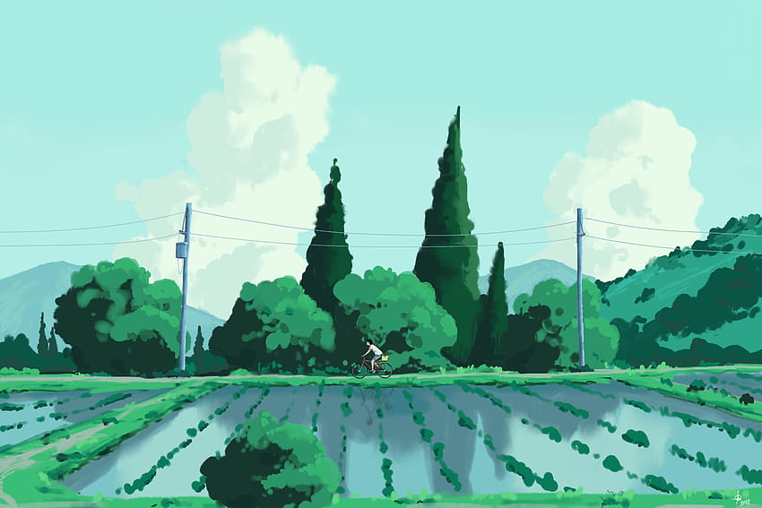 Rice fields/ 6000x4000/ Digital, anime field HD wallpaper