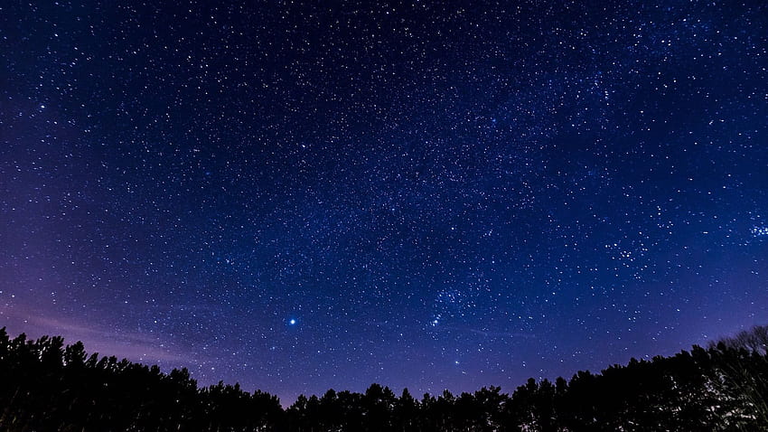 Forest Night Sky, langit malam yang cerah Wallpaper HD