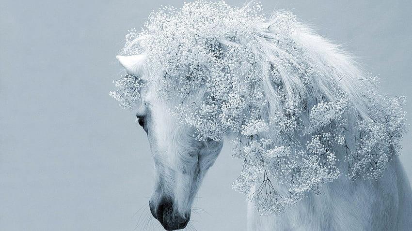 Fantasy white horse, easter horse HD wallpaper