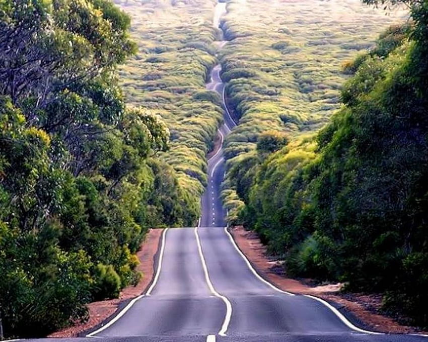 Beautiful Nature Road, roadways HD wallpaper