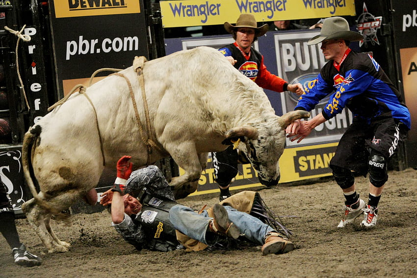 Bullriding , Sports, HQ Bullriding, bull rider HD wallpaper