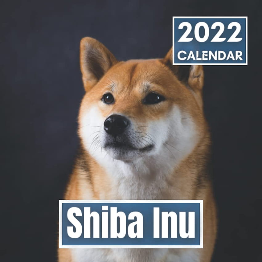 Shiba Inu Calendar 2022: Beautiful Japanese Dog Perfect for Adults and Kids as a Gift for a Cute Puppy Lover for any Occasion such as Christmas or Birtay: Publishing, StundCalend: 9798767456543: HD phone wallpaper